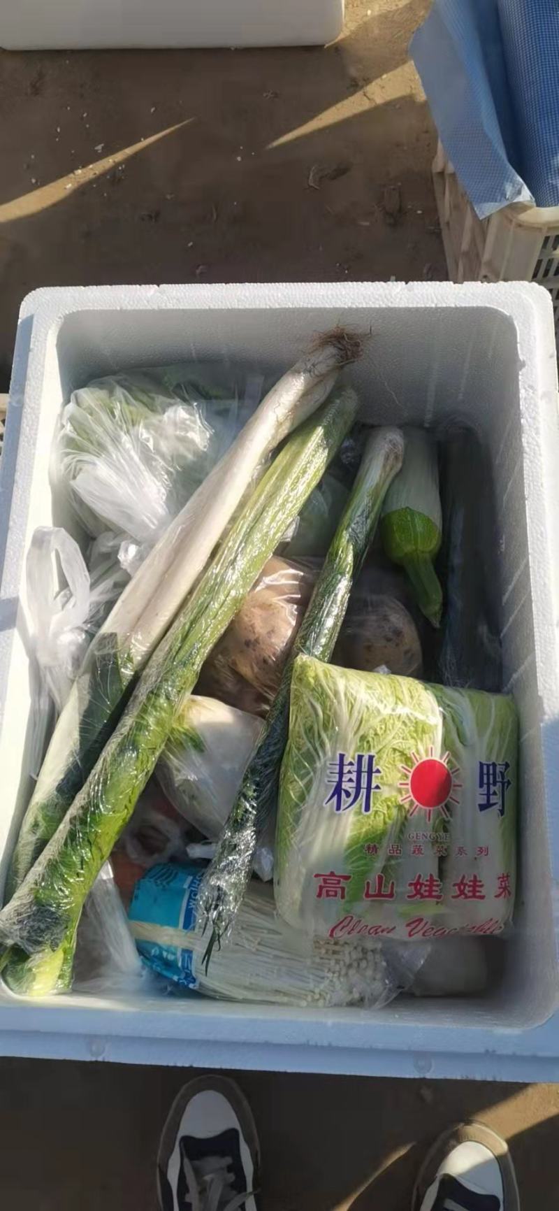 礼品菜，民用菜，专业打包各种礼品菜，精品蔬菜套盒