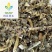 【泽漆】@【同欢药材】中药材批发供应规格齐全
