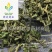 【葎草拉拉秧】@【同欢药材】中药材批发供应