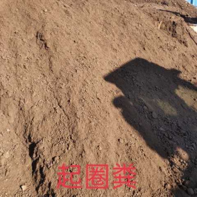 内蒙古大草原发酵羊尿粪