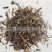 【一枝黄花】@【同欢药材】中药材批发供应