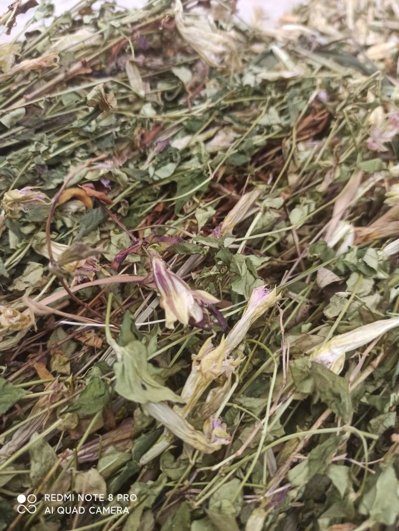 龙胆草又叫山地龙产地直发一手货源质量上乘量大优惠