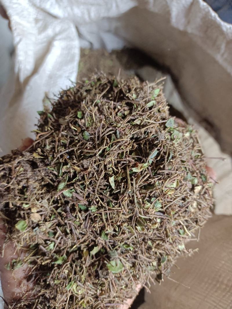 【精品】产地大红袍花椒粉货源充足欢迎咨询量大从优