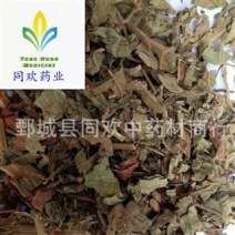 【好统货仙鹤草】@【同欢药材】中药材批发供应