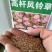 风铃花草种子室外庭院花种子花卉花种孑喇叭花种子四季种易活