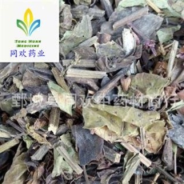 【石见穿】@【同欢药材】中药材批发供应规格齐全