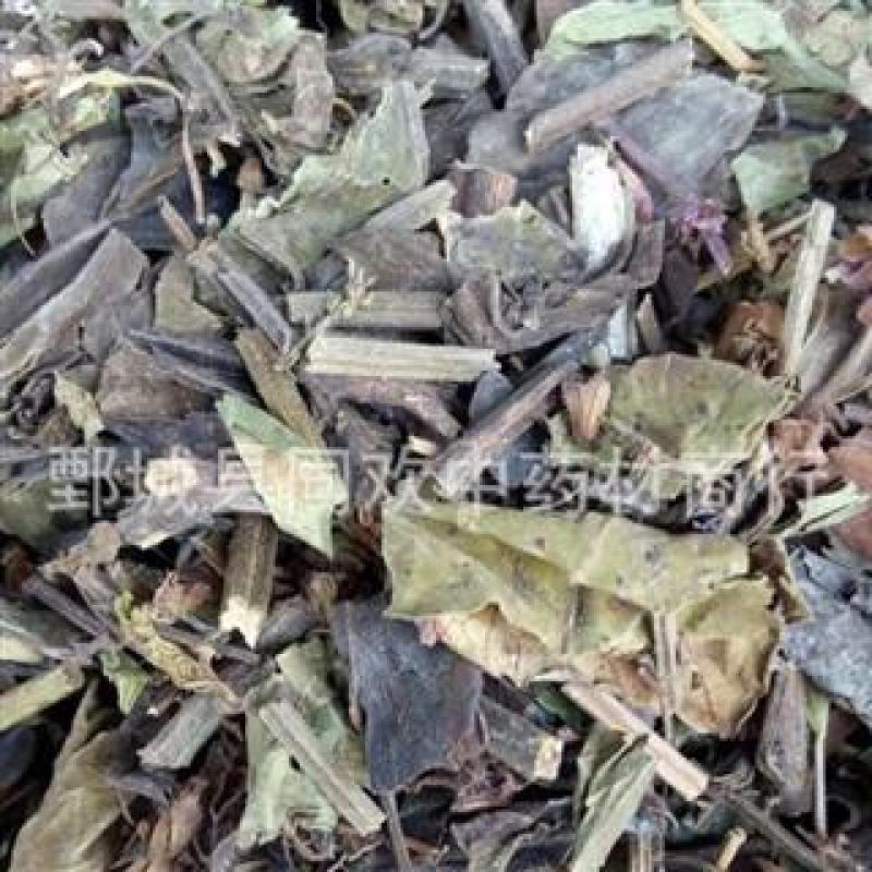 【石见穿】@【同欢药材】中药材批发供应规格齐全
