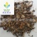 【千里光】@【同欢药材】中药材批发供应规格齐全