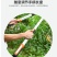 包邮修剪树枝剪刀粗枝剪伸缩园林果树强力大力工具摘水果神器