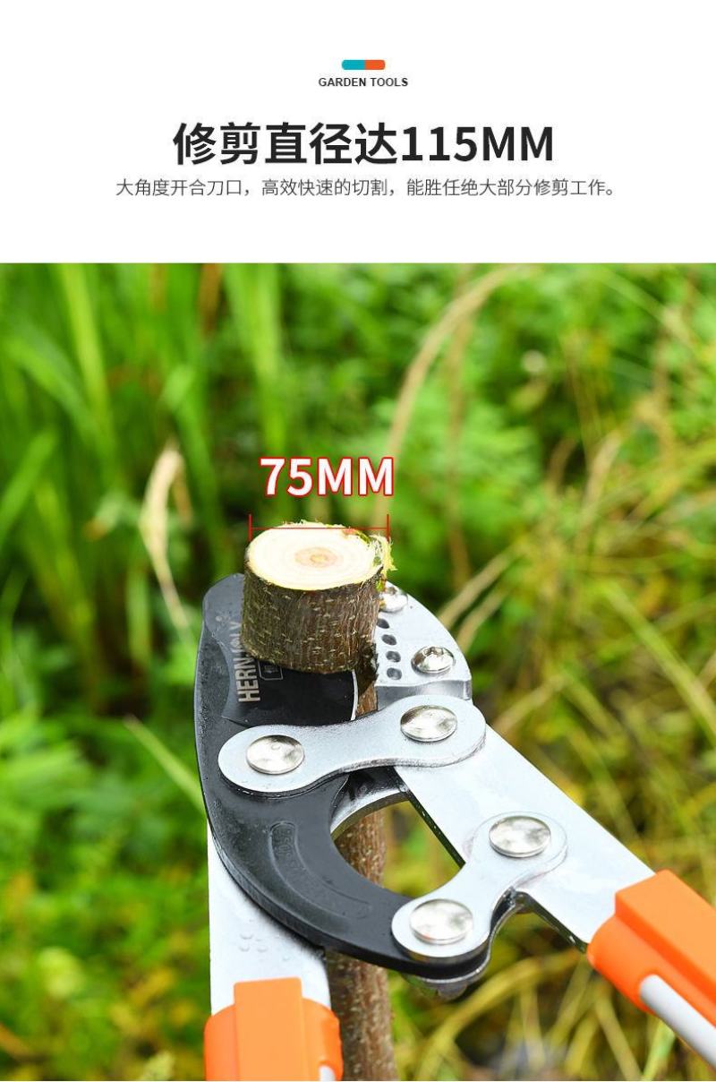 包邮修剪树枝剪刀粗枝剪伸缩园林果树强力大力工具摘水果神器