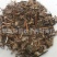 【千里光】@【同欢药材】中药材批发供应规格齐全