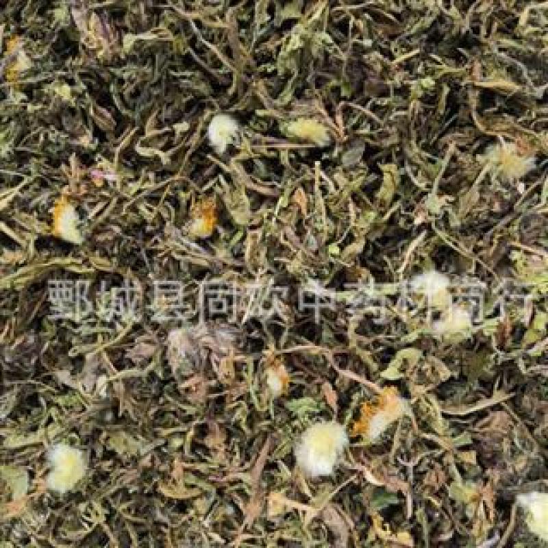 【新货蒲公英】@【同欢药材】中药材批发供应