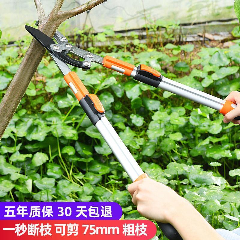 包邮修剪树枝剪刀粗枝剪伸缩园林果树强力大力工具摘水果神器