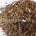 【荔枝草】@【同欢药材】中药材批发供应规格齐全