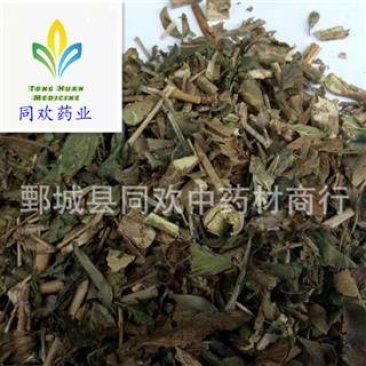 【六月雪白马骨】@【同欢药材】中药材批发供应