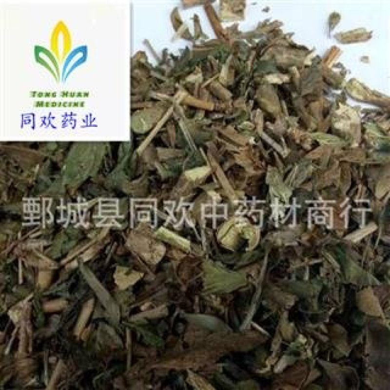 【六月雪白马骨】@【同欢药材】中药材批发供应