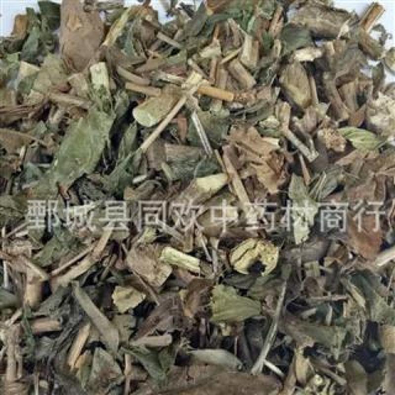 【六月雪白马骨】@【同欢药材】中药材批发供应