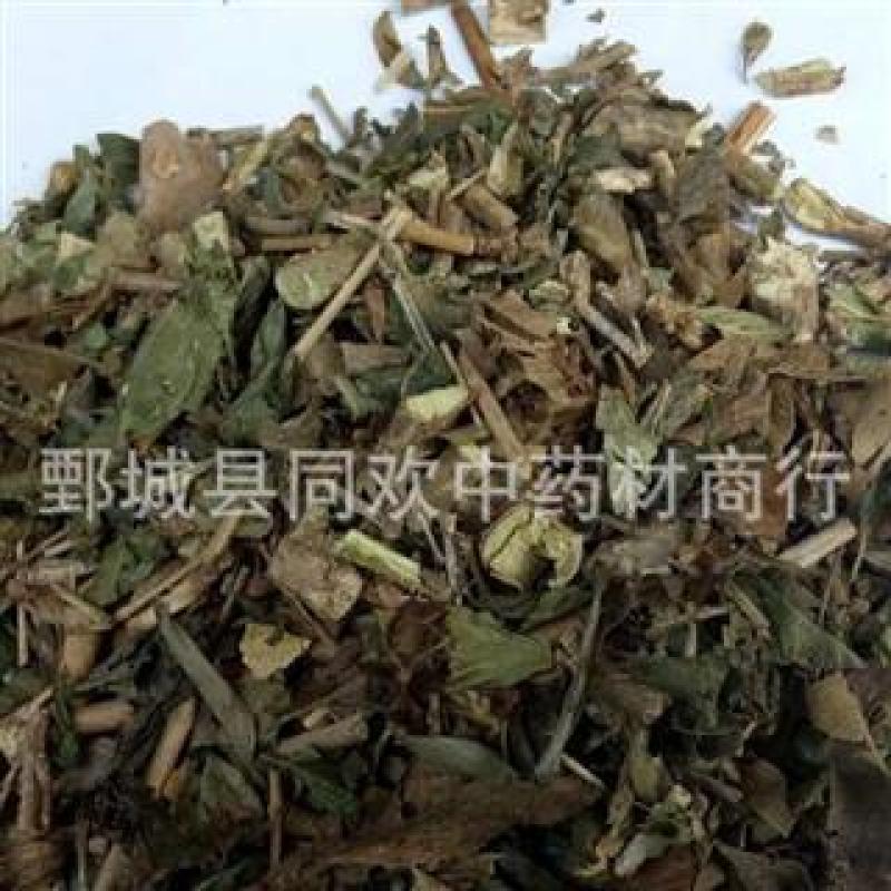 【六月雪白马骨】@【同欢药材】中药材批发供应
