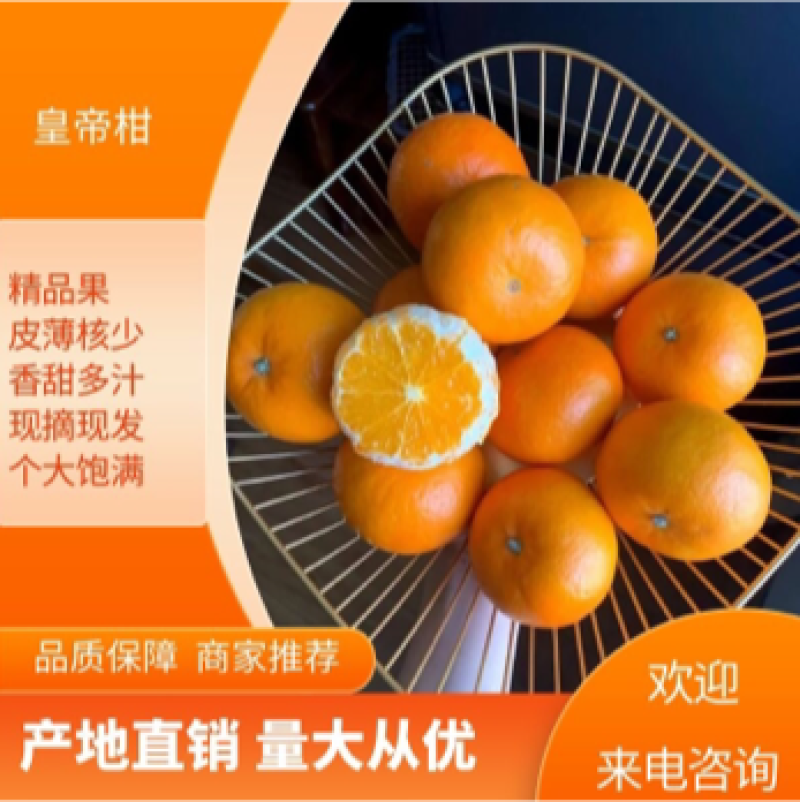 【柑桔】广西武鸣沃柑供应各大市场电商商超