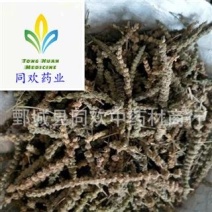 【颜色好荆芥穗】@【同欢药材】中药材批发供应