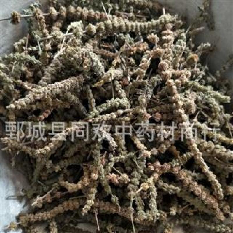 【颜色好荆芥穗】@【同欢药材】中药材批发供应