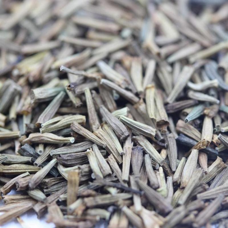 除虫菊种子驱蚊草驱虫菊花种籽子多年生混色花种子四季易活盆