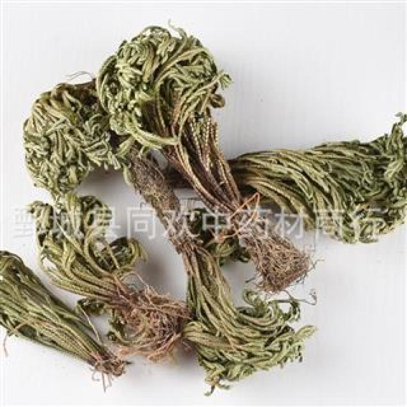 【卷柏九死还魂草】@【同欢药材】中药材批发供应