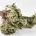 【卷柏九死还魂草】@【同欢药材】中药材批发供应
