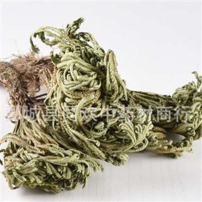 【卷柏九死还魂草】@【同欢药材】中药材批发供应