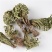 【卷柏九死还魂草】@【同欢药材】中药材批发供应