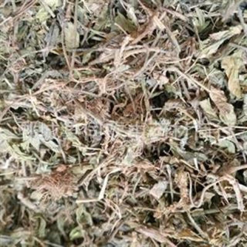【黄毛耳草】@【同欢药材】中药材批发供应规格齐全