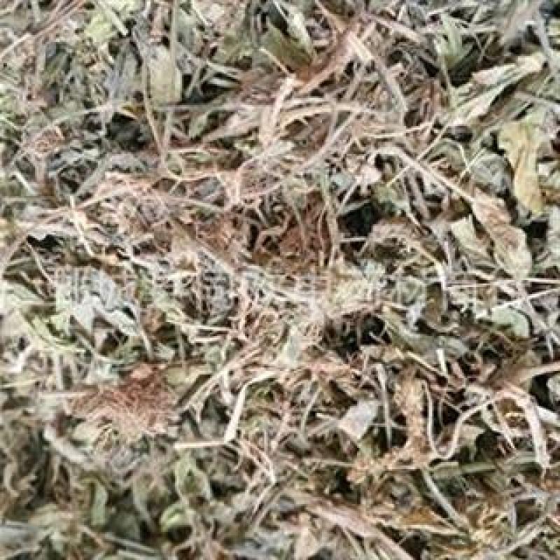 【黄毛耳草】@【同欢药材】中药材批发供应规格齐全