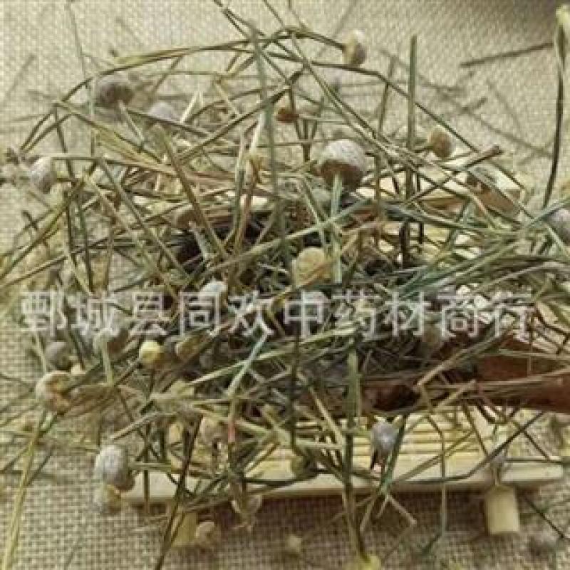 【谷精草】@【同欢药材】中药材批发供应规格齐全