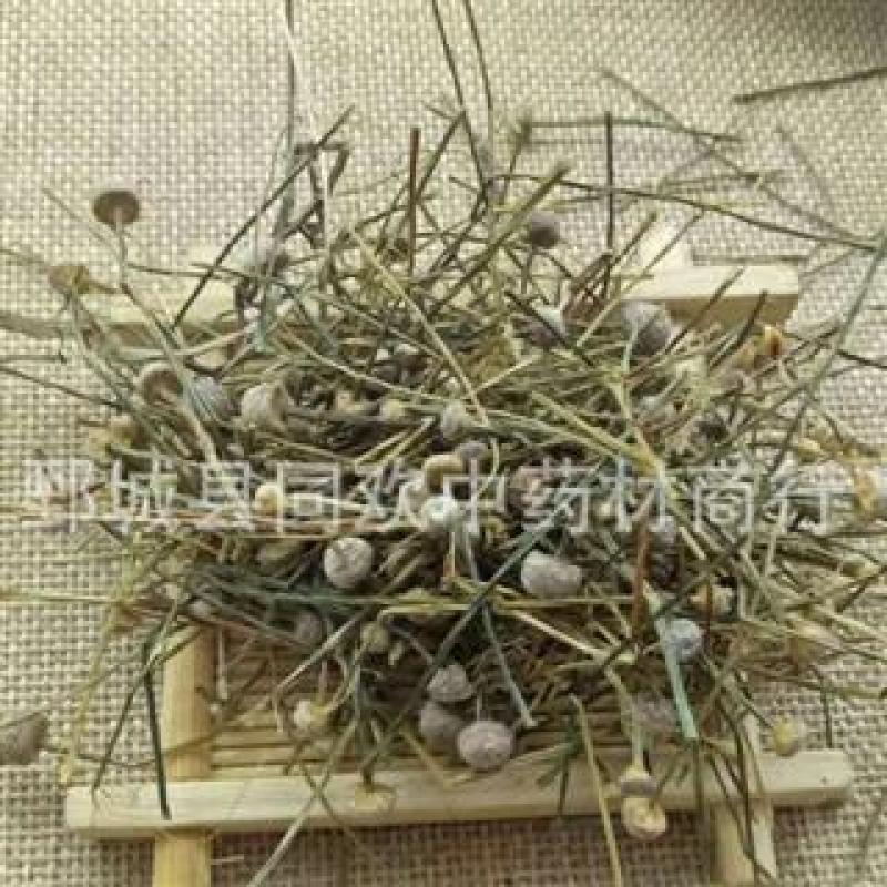 【谷精草】@【同欢药材】中药材批发供应规格齐全
