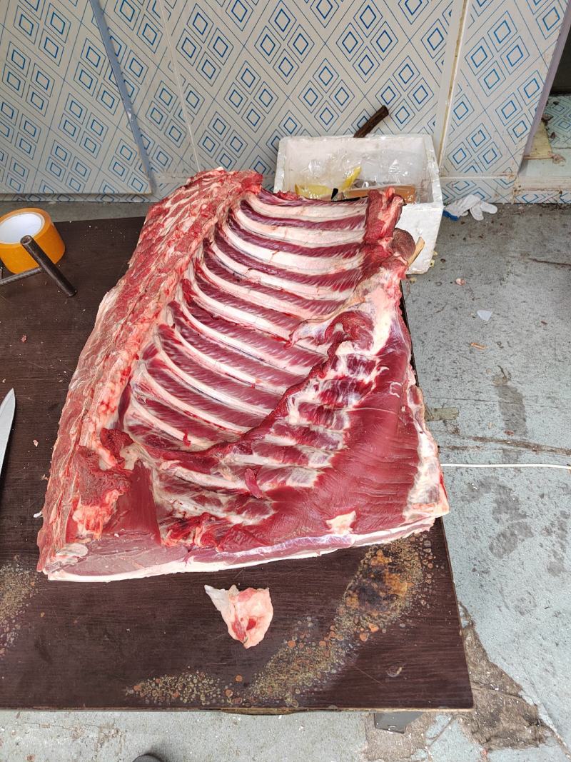 批发一代二代山猪肉新鲜发货长期合作优选