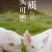 百香顺火锅椒麻小酥肉净2斤*10包/件大厂货质量好