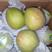 新疆库尔勒香梨小母梨口感甜10斤装价格便宜20元每