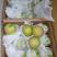 新疆库尔勒香梨小母梨口感甜10斤装价格便宜20元每