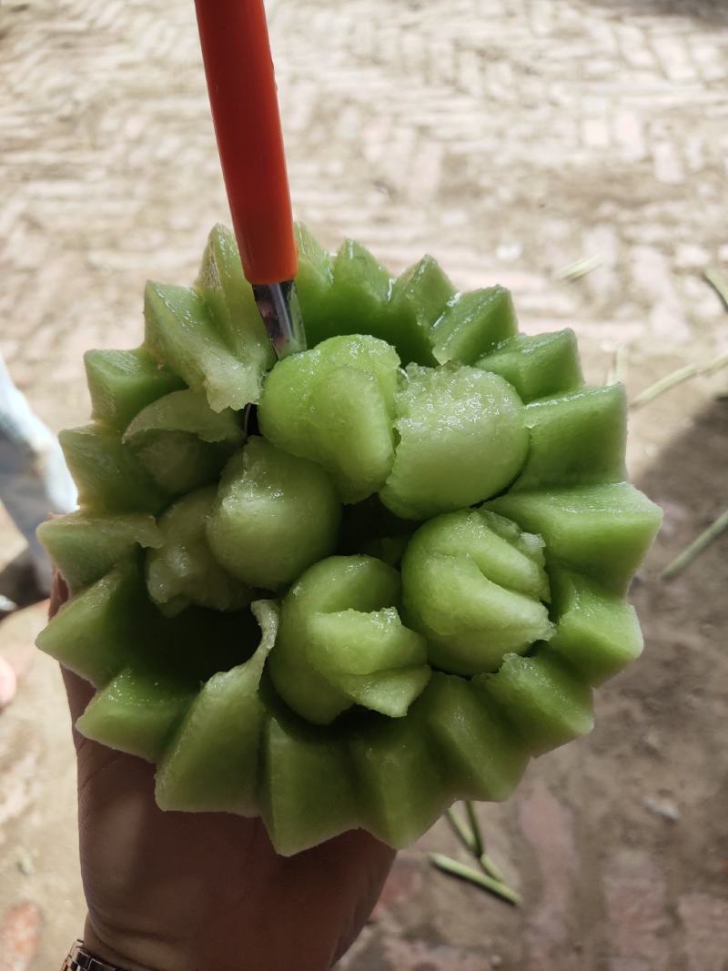 玉菇