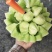 玉菇