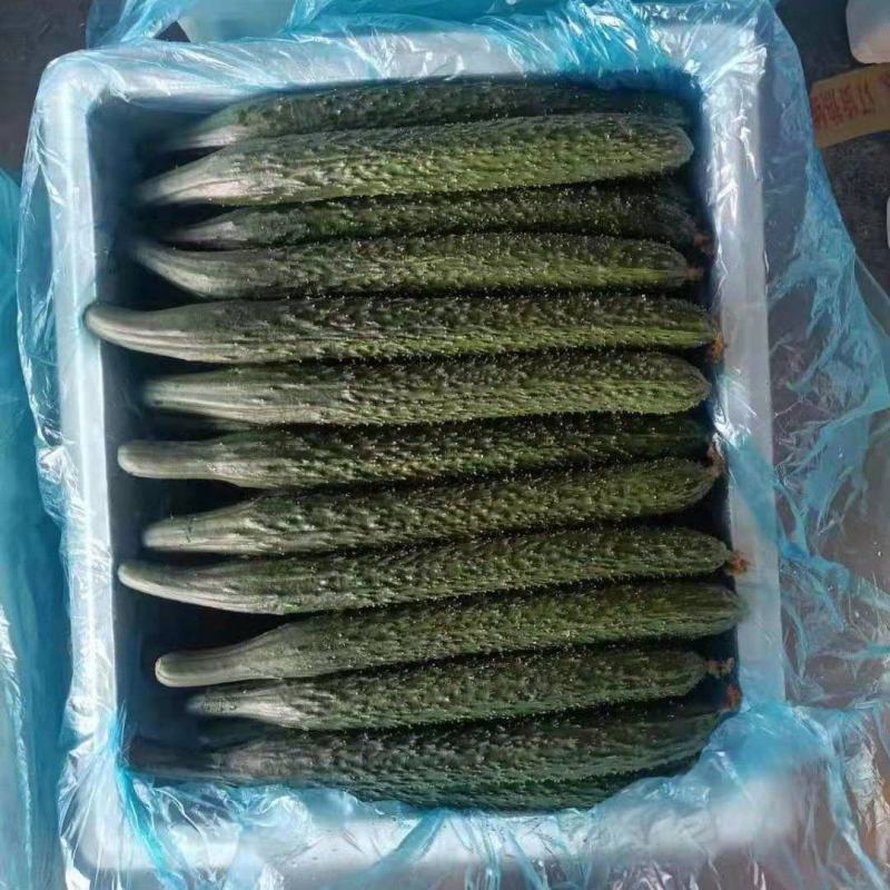 牛大荔黄瓜密刺黄瓜优质密刺黄瓜，全国发货，欢迎咨询