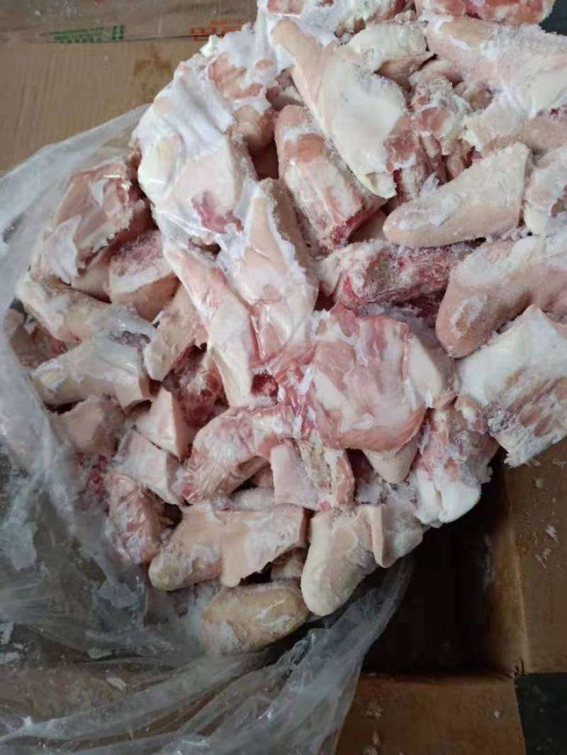 精品猪短尾肥猪短尾厂家直销量大优惠手续齐全现货供应。