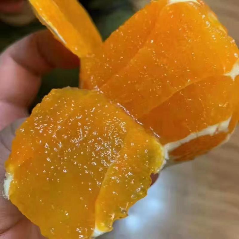 奉节脐橙