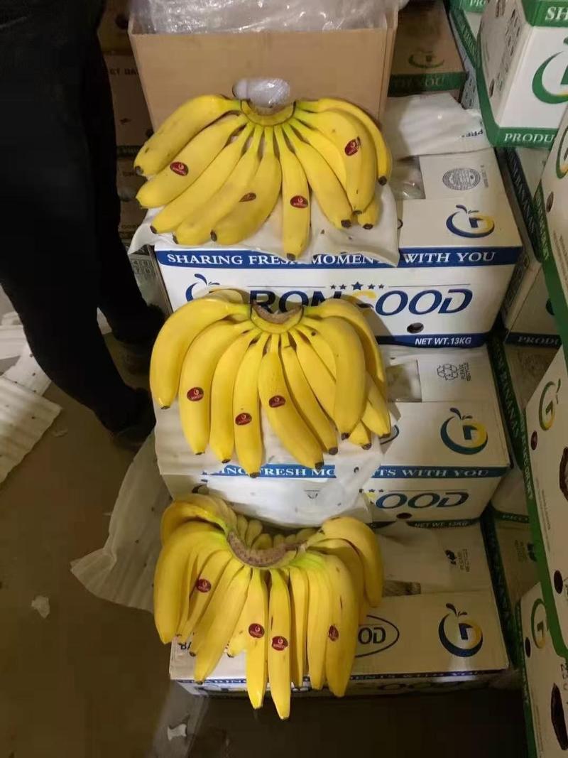 菲律宾进口特价香蕉，口感超甜，全部柜子货，保质保量