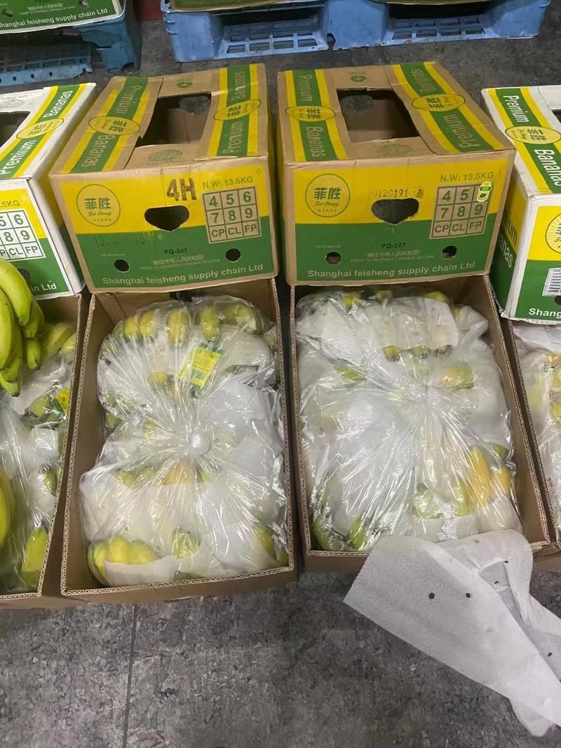 菲律宾进口特价香蕉，口感超甜，全部柜子货，保质保量