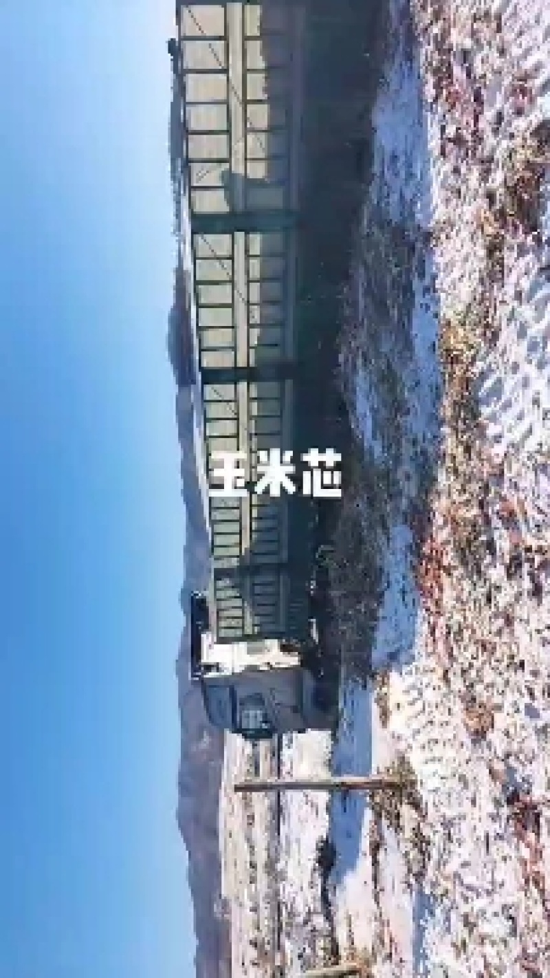 玉米芯