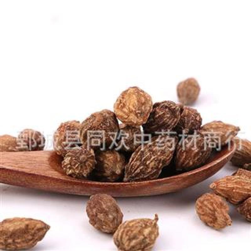 【精品选装益智仁】@【同欢药材】中药材批发供应