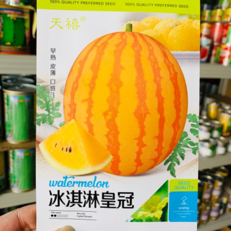 冰淇淋皇冠黄皮黄瓤礼品西瓜种子皮薄抗裂入口即化高品质西瓜