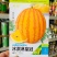 冰淇淋皇冠黄皮黄瓤礼品西瓜种子皮薄抗裂入口即化高品质西瓜
