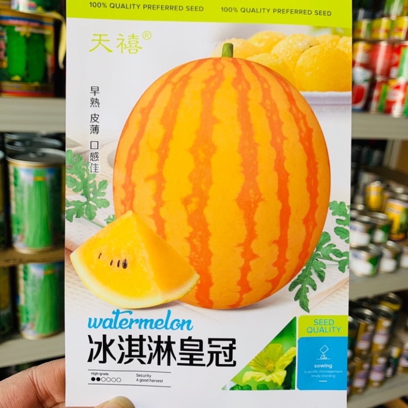 冰淇淋皇冠黄皮黄瓤礼品西瓜种子皮薄抗裂入口即化高品质西瓜